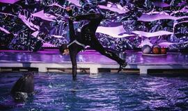 Klaipėdos delfinariume -  "Delfinai ir žvaigždės"