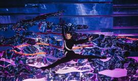 Klaipėdos delfinariume -  "Delfinai ir žvaigždės"