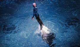 Klaipėdos delfinariume -  "Delfinai ir žvaigždės"