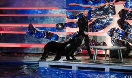 Klaipėdos delfinariume -  "Delfinai ir žvaigždės"