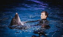 Klaipėdos delfinariume -  "Delfinai ir žvaigždės"