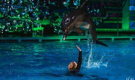 Delfinai ir žvaigždės: Nijolė Pareigytė-Rukaitienė