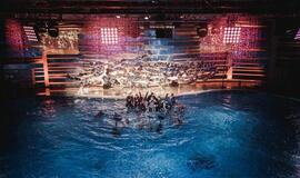 Klaipėdos delfinariume -  "Delfinai ir žvaigždės"