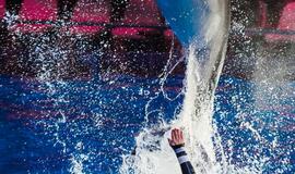 Klaipėdos delfinariume -  "Delfinai ir žvaigždės"