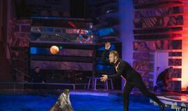 Klaipėdos delfinariume -  "Delfinai ir žvaigždės"