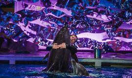 Klaipėdos delfinariume -  "Delfinai ir žvaigždės"