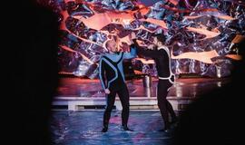 Laidos "Delfinai ir žvaigždės" filmavimo užkulisiai