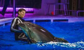 Klaipėdos delfinariume -  "Delfinai ir žvaigždės"