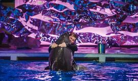 Klaipėdos delfinariume -  "Delfinai ir žvaigždės"