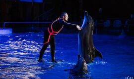 Klaipėdos delfinariume -  "Delfinai ir žvaigždės"