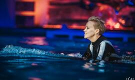 Klaipėdos delfinariume -  "Delfinai ir žvaigždės"