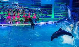 Klaipėdos delfinariume -  "Delfinai ir žvaigždės"