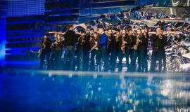 "Delfinai ir žvaigždės": jausmų tema