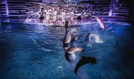 Klaipėdos delfinariume -  "Delfinai ir žvaigždės"