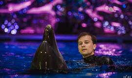 Klaipėdos delfinariume -  "Delfinai ir žvaigždės"