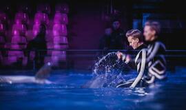 Klaipėdos delfinariume -  "Delfinai ir žvaigždės"