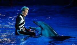 Klaipėdos delfinariume -  "Delfinai ir žvaigždės"