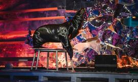 Klaipėdos delfinariume -  "Delfinai ir žvaigždės"