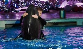 Klaipėdos delfinariume -  "Delfinai ir žvaigždės"