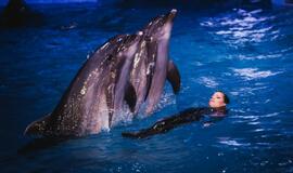 Rita Pivoriūnaitė didžiausias gyvenimo baimes tikisi įveikti su delfinų pagalba