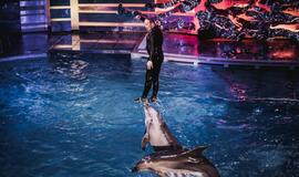 Klaipėdos delfinariume -  "Delfinai ir žvaigždės"