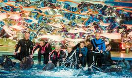 Klaipėdos delfinariume -  "Delfinai ir žvaigždės"