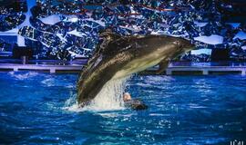 Rita Pivoriūnaitė didžiausias gyvenimo baimes tikisi įveikti su delfinų pagalba