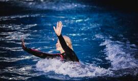 Klaipėdos delfinariume -  "Delfinai ir žvaigždės"