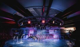 Klaipėdos delfinariume -  "Delfinai ir žvaigždės"