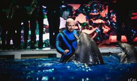 "Delfinai ir žvaigždės": jausmų tema