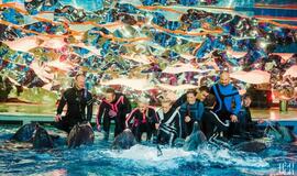 Klaipėdos delfinariume -  "Delfinai ir žvaigždės"