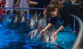 Klaipėdos delfinariume -  "Delfinai ir žvaigždės"