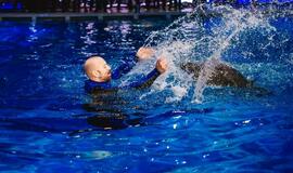 "Delfinai ir žvaigždės": jausmų tema