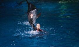 Delfinai ir žvaigždės: Nijolė Pareigytė-Rukaitienė