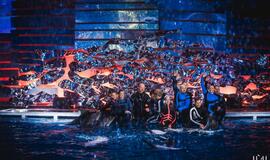 "Delfinai ir žvaigždės": Aistė Pilvelytė