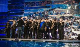 "Delfinai ir žvaigždės": jausmų tema