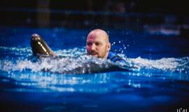 "Delfinai ir žvaigždės": jausmų tema