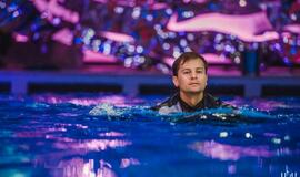 Klaipėdos delfinariume -  "Delfinai ir žvaigždės"