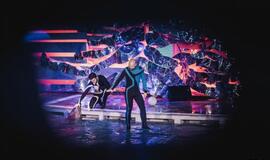 Laidos "Delfinai ir žvaigždės" filmavimo užkulisiai