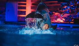 Klaipėdos delfinariume -  "Delfinai ir žvaigždės"