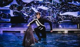 Klaipėdos delfinariume -  "Delfinai ir žvaigždės"