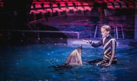 Klaipėdos delfinariume -  "Delfinai ir žvaigždės"
