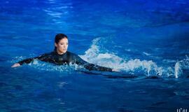 Klaipėdos delfinariume -  "Delfinai ir žvaigždės"