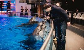 "Delfinai ir žvaigždės": jausmų tema