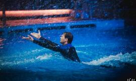 "Delfinai ir žvaigždės": jausmų tema