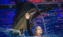 "Delfinai ir žvaigždės": jausmų tema