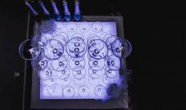 Klaipėdos delfinariume -  "Delfinai ir žvaigždės"