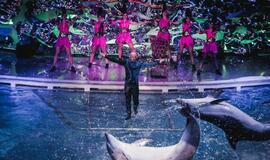 Klaipėdos delfinariume -  "Delfinai ir žvaigždės"