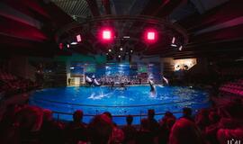 Klaipėdos delfinariume -  "Delfinai ir žvaigždės"