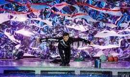 Klaipėdos delfinariume -  "Delfinai ir žvaigždės"